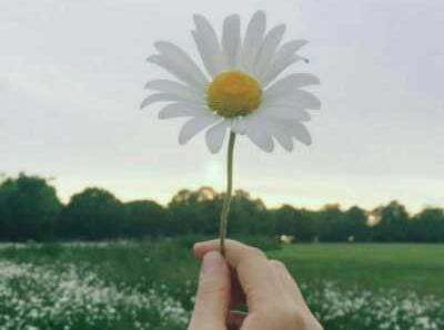 عکس نوشته از وقتی تو رفتی شب حالمو پرسید