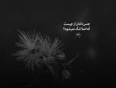 عکس نوشته از وقتی تو رفتی شب حالمو پرسید