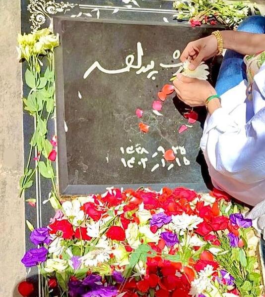 عکس گل خودکشی