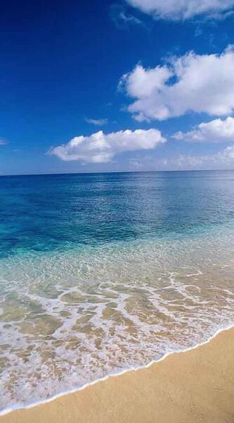 عکس پروفایل شیک لب دریا