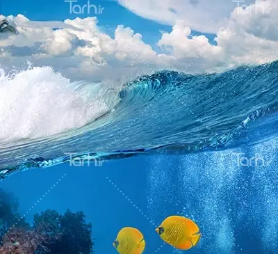 عکس دریا ماهی