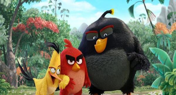 عکس angry birds واقعی