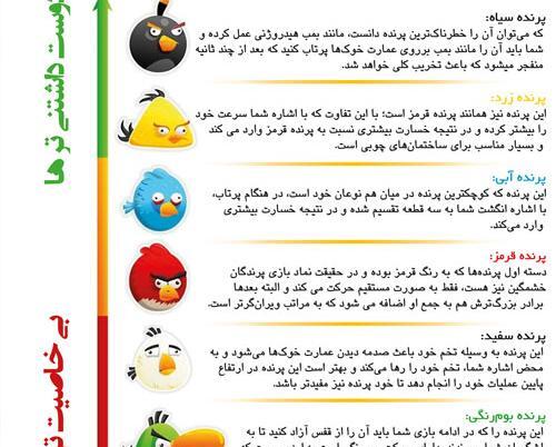 عکس angry birds واقعی