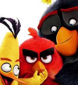 عکس angry birds واقعی