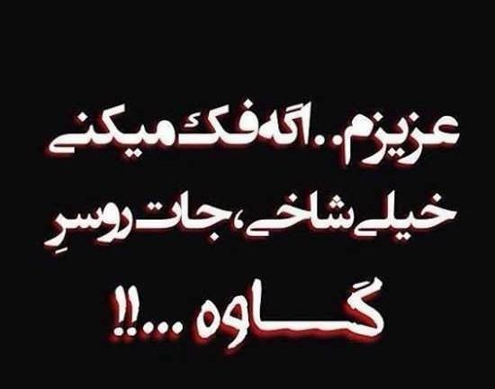 عکس نوشته شاخ مدرسه