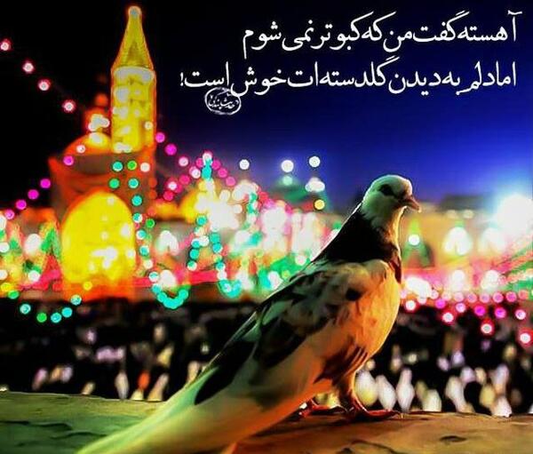 عکس نوشته امام رضا دلم هواتو کرده