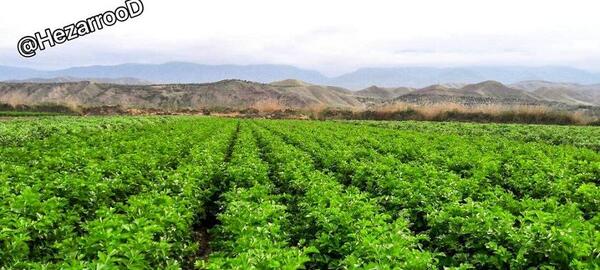 عکس روستای کرفس