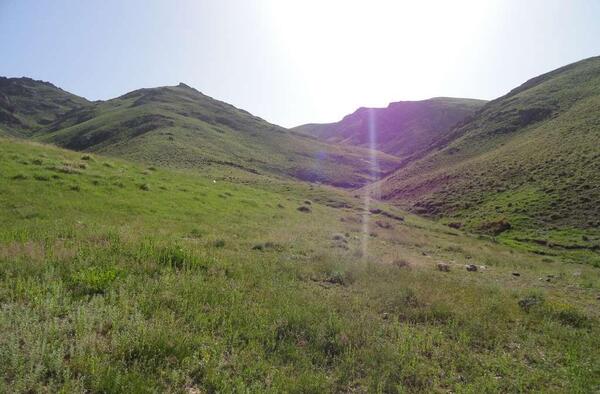 عکس روستای کرفس