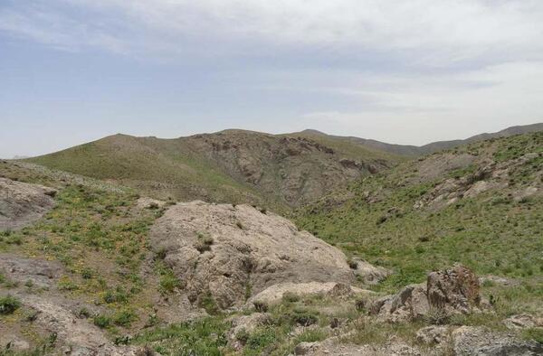 عکس روستای کرفس