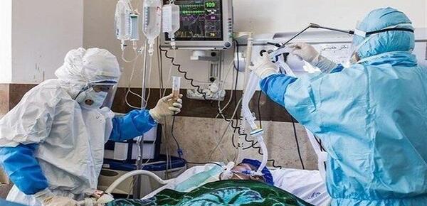 عکس قلب کرونایی