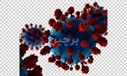 عکس قلب کرونایی
