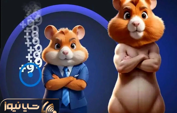 عکس همستر عاشقانه