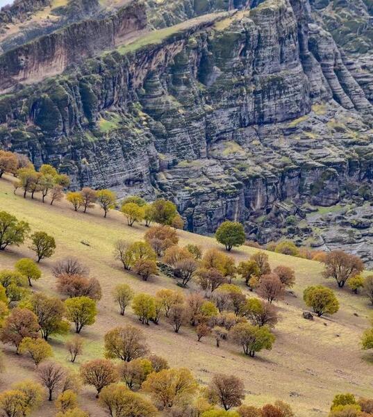 عکس زیبای طبیعت لرستان