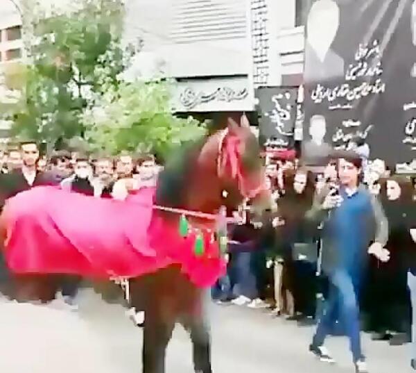 عکس حضرت ابوالفضل سوار بر اسب