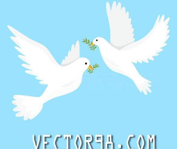 عکس دانلود وکتور کبوتر