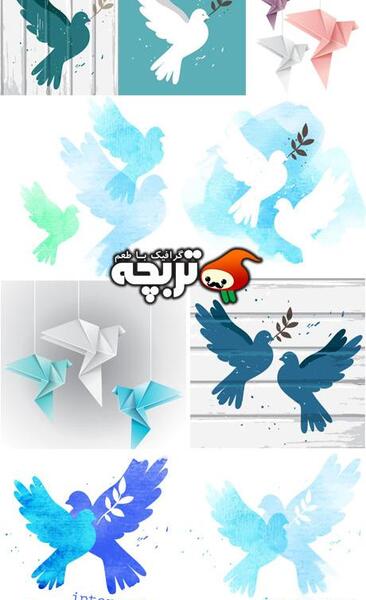 عکس دانلود وکتور کبوتر