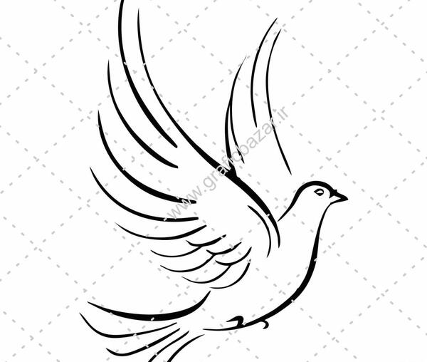 عکس دانلود وکتور کبوتر