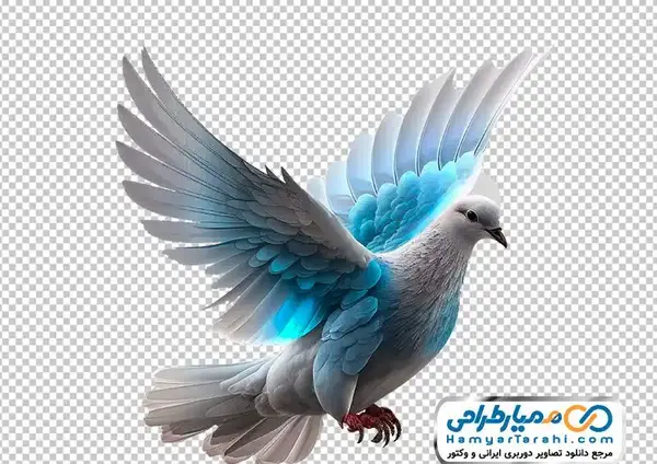 عکس دانلود وکتور کبوتر