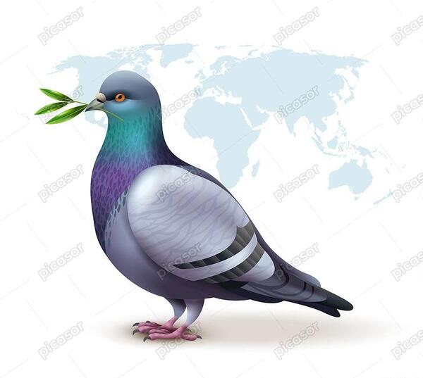 عکس دانلود وکتور کبوتر