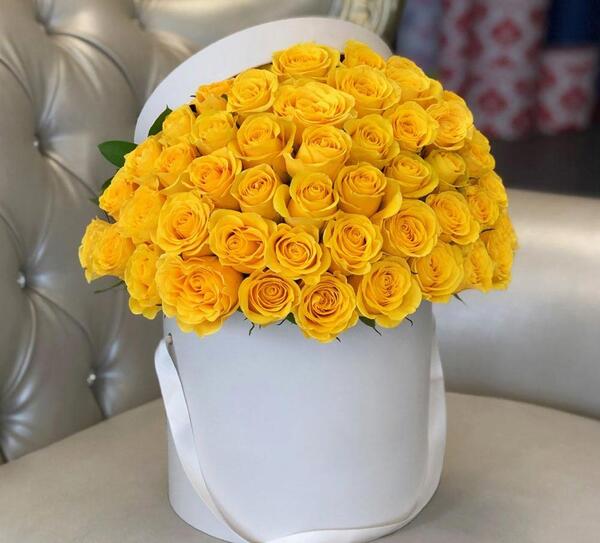 عکس گل رز زنبوری