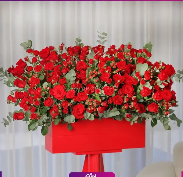 عکس گل رز زنبوری