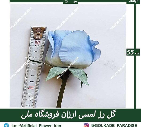 عکس گل رز زنبوری
