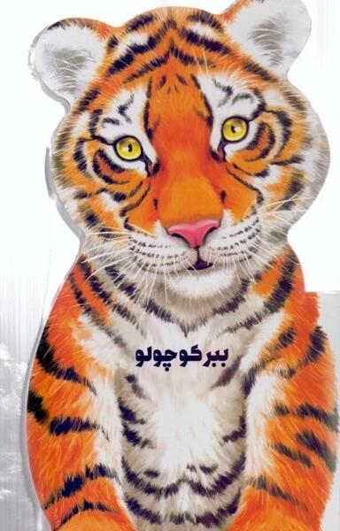 عکس ببر کوچک