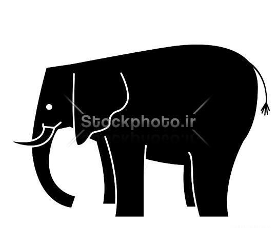 عکس فیل حیوان