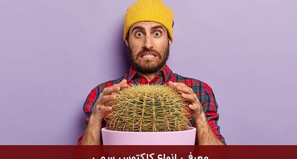 عکس کاکتوس های سمی