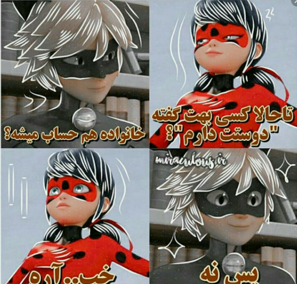 عکس مرگ کت نوار