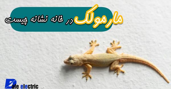 عکس گرفتن مارمولک