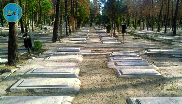 عکس باب اسفنجی که مرده