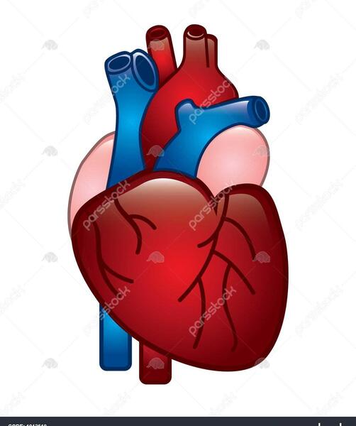 عکس تپش قلب کارتونی