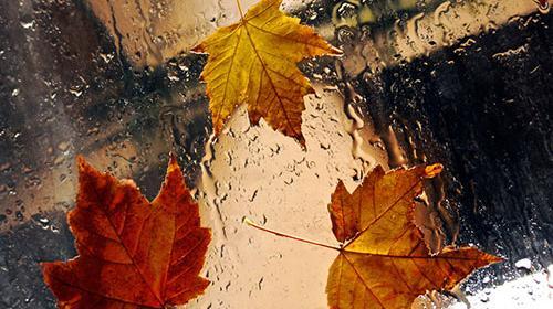 عکس باران پاییزی زیبا