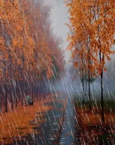 عکس باران پاییزی زیبا