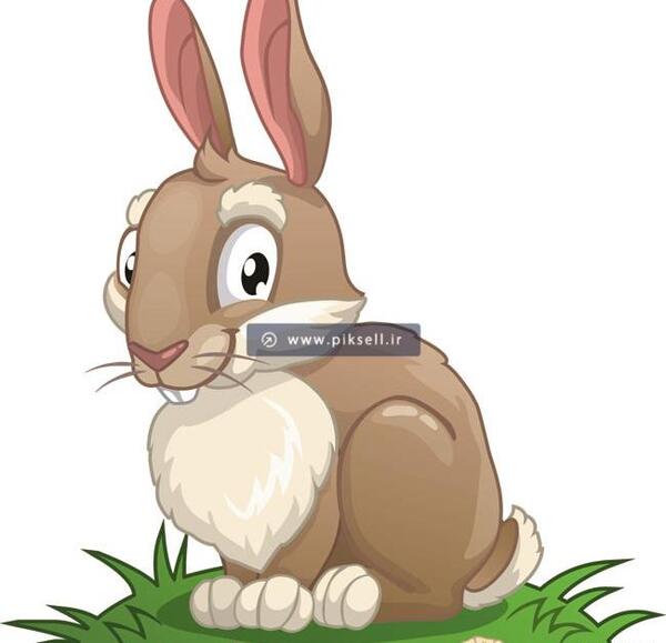 عکس خرگوش قهوه ای
