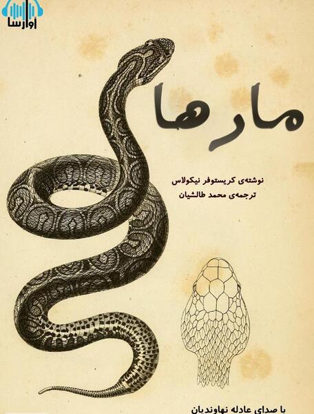 عکس مار کوچولو