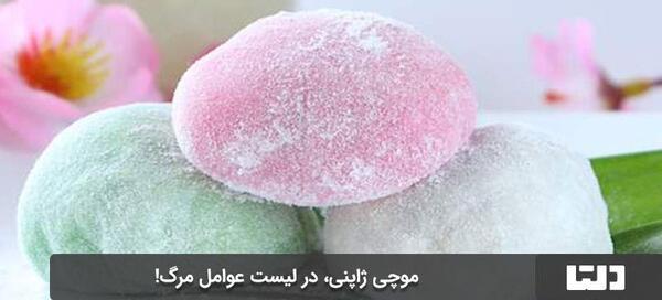 عکس موچی جوجو