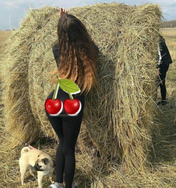 عکس واقعی حنا دختری در مزرعه