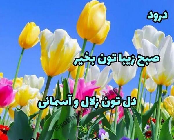 عکس نوشته قرانی صبح بخیر