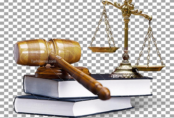 عکس کارتونی وکیل