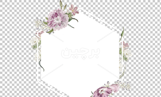 عکس ترنسپرنت