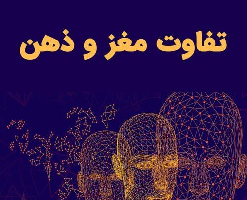 عکس مغز و ذهن