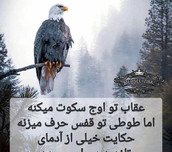 عکس نوشته تیکه دار تازه به دوران رسیده