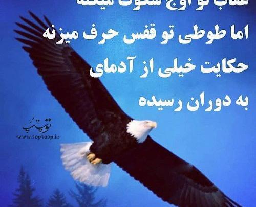 عکس نوشته تیکه دار تازه به دوران رسیده