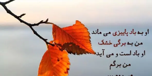 عکس کلیپ استوری پاییز عاشقانه