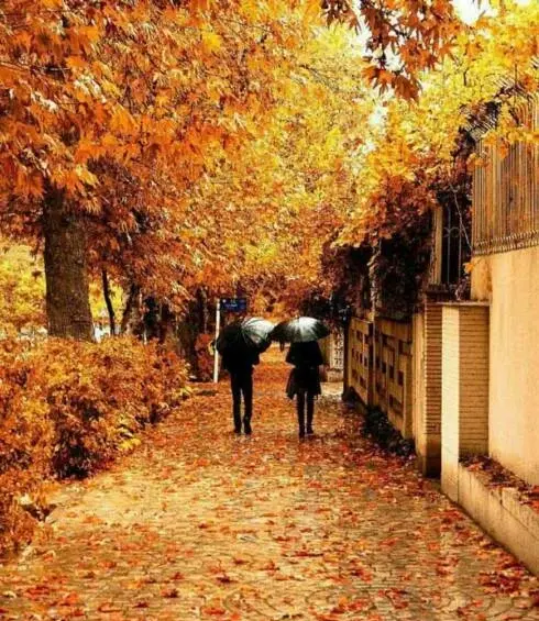 عکس کلیپ استوری پاییز عاشقانه