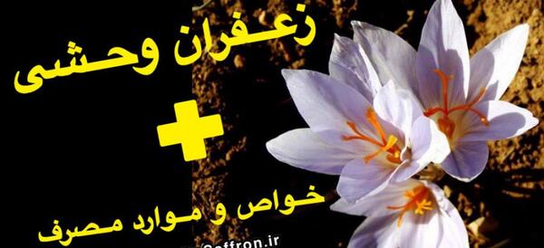 عکس تصویر زعفران وحشی