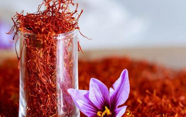 عکس تصویر زعفران وحشی