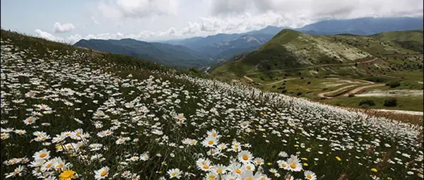 عکس جهنم دره ایران